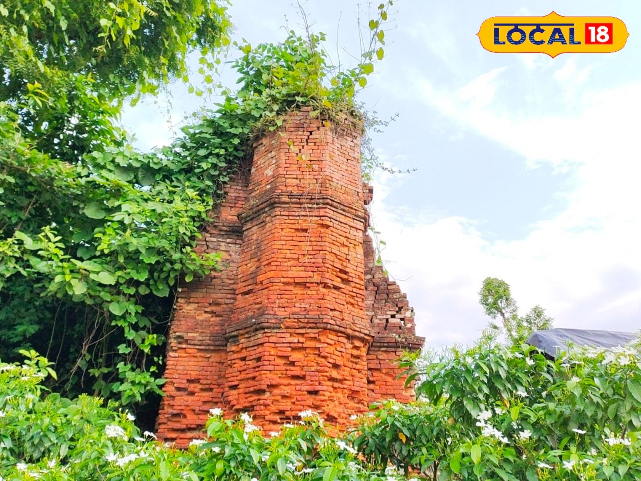 নবাবি আমলে এখানেই ছিল গৌড় নগরী, মালদহে গাছপালার আড়ালে একা দাঁড়িয়ে প্রাচীন ইতিহাস