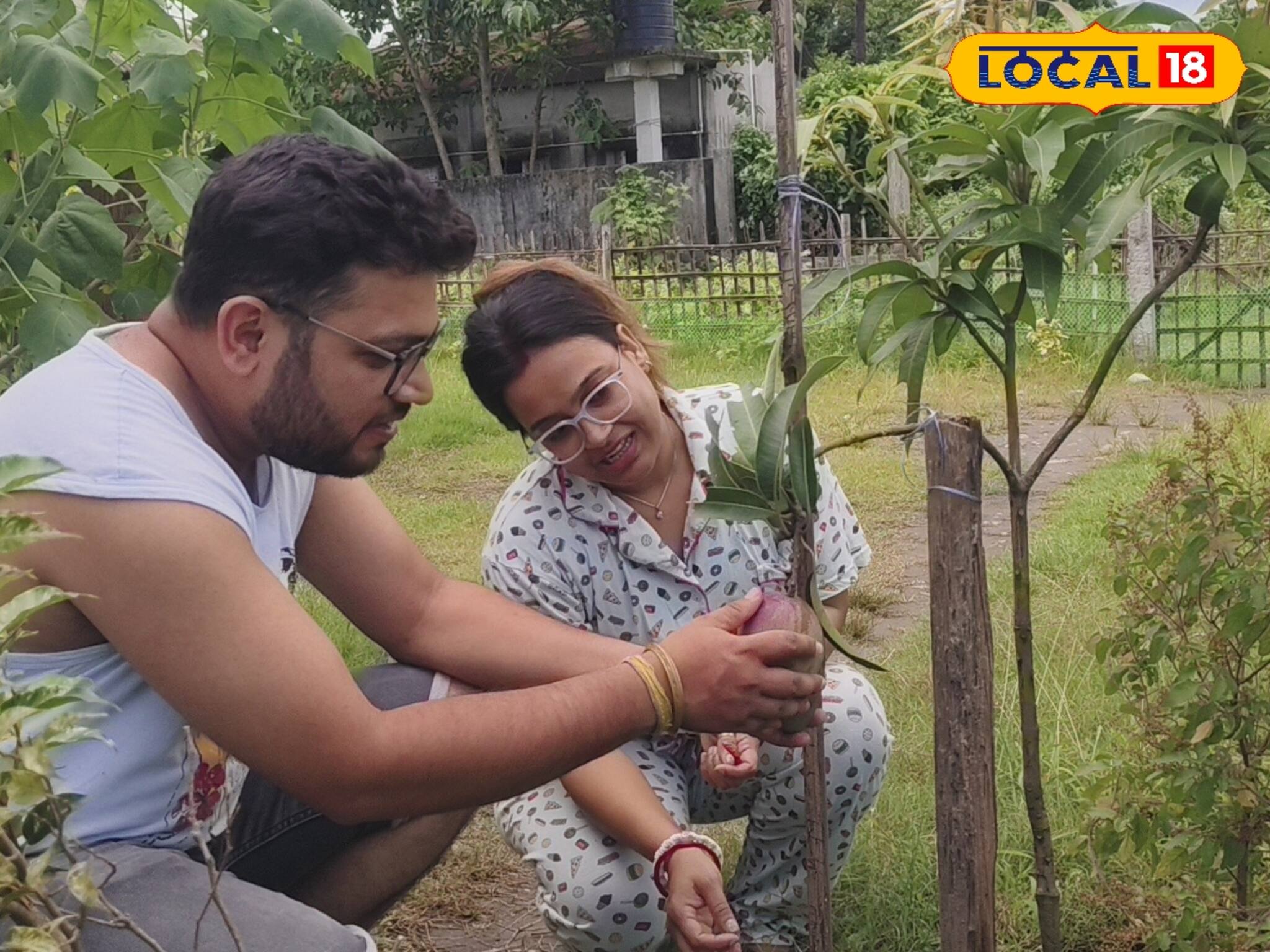 সোনার চেয়েও দামি এই ফল! বাজারে প্রায় আড়াই লক্ষ টাকা কেজি পর্যন্ত বিক্রি হয়েছে