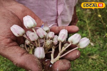 কোনও টাকা ছাড়াই শুরু করুন এই ব্যবসা, মাসের শেষে হাতে আসবে লাখ লাখ টাকা!