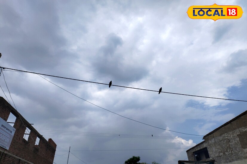 হাওয়া অফিসের তথ্য অনুযায়ী, মালদহ ও দুই দিনাজপুরের অধিকাংশ জায়গায় বিক্ষিপ্তভাবে হালকা থেকে মাঝারি বৃষ্টির সম্ভাবনা রয়েছে। বিগত ২৪ ঘণ্টায় মালদহে বৃহস্পতিবার পর্যন্ত .৮ মিলিমিটার বৃষ্টিপাত হয়েছে।
