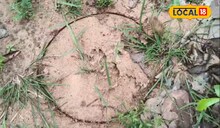 আবারও কি জঙ্গলমহলে বাঘ মামার আগমন? জিনকির জঙ্গলে অজানা জন্তুর পায়ের ছাপ ঘিরে রহস্য