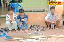 বাদুড়ের মাংসে হওয়ার কথা ছিল ভুরিভোজ! হল না সফল, বন দফতরের জালে চার
