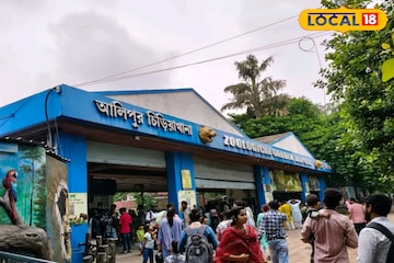 এবার চিড়িয়াখানায় দর্শকদের কাঁধের ভার ভ্যানিশ! আলিপুর জু-তে হল 'ক্লোকরুম' এবার চিড়িয়াখানায় দর্শকদের কাঁধের ভার ভ্যানিশ! আলিপুর জু-তে হল 'ক্লোকরুম'
