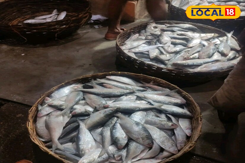 এবছর মৎস্যজীবীরা ভেবেছিলেন ভাল পরিমাণে মাছ পাওয়ার সম্ভাবনা রয়েছে। কিন্তু তারপর থেকে সমুদ্র উত্তাল রয়েছে। হাতে গোনা কয়েক দিন সমুদ্রে মাছ ধরা গিয়েছে।