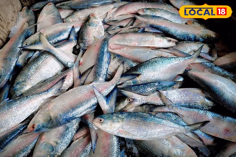 এখন আবহাওয়া কবে ভাল হয় সেদিকে তাকিয়ে রয়েছেন সকলে। এই পরিস্থিতি চলতে থাকলে অসুবিধায় পড়বেন অনেকেই।