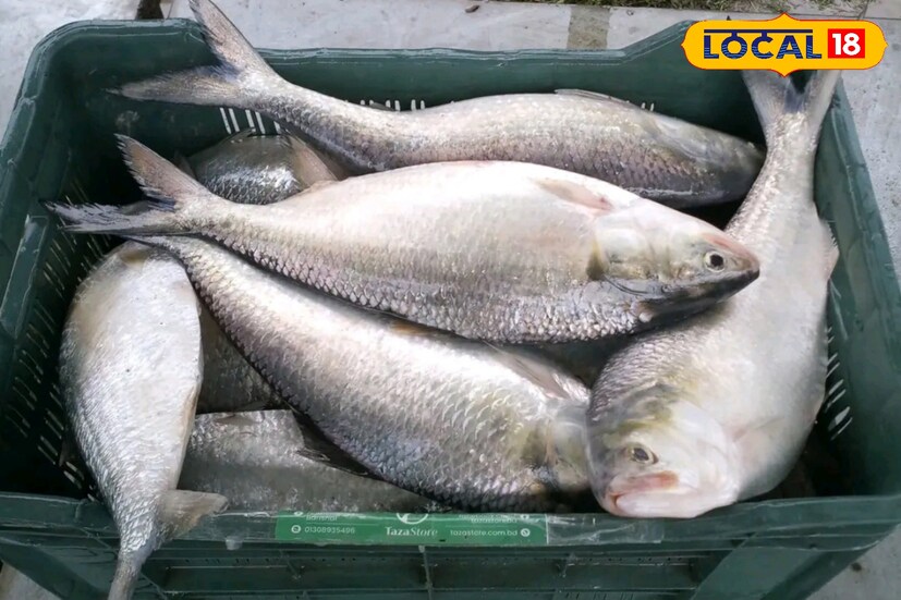 এই মুহূর্তে বঙ্গোপসাগর উত্তাল, বেশিরভাগ মৎস্যজীবী ট্রলার নিয়ে উপকূলের কাছাকাছি চলে এসেছেন। মাছ খুব একটা বাজারে আসছেনা।