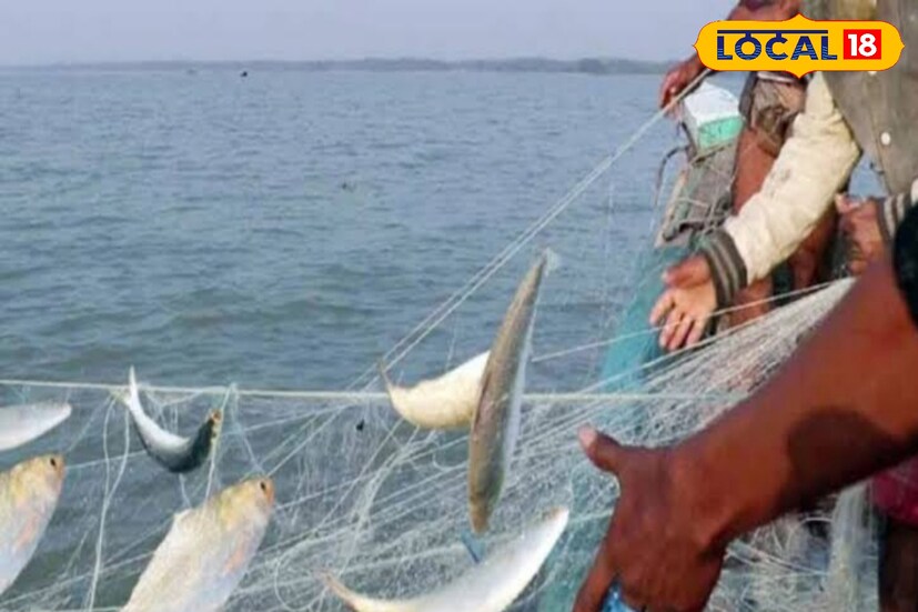মরশুমের শুরুতে বিপুল পরিমাণে ইলিশ মিলছিল সমুদ্র থেকে। ঝাঁকে ঝাঁকে মাছ উঠছিল জালে। কিন্তু সম্প্রতি আবহাওয়া খামখেয়ালি আচরণ শুরু করেছে।