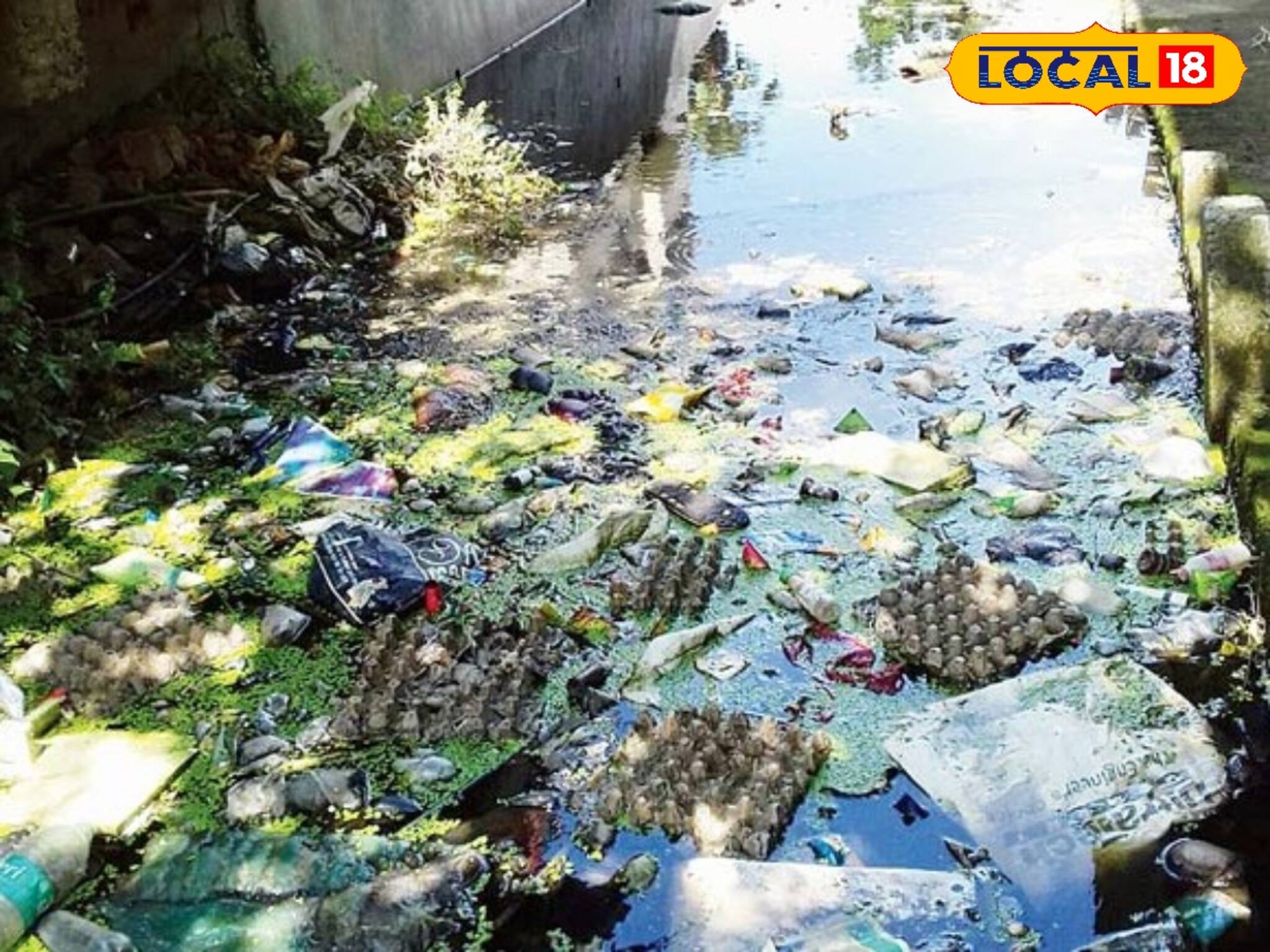 Birbhum News: বীরভূম জেলা জুড়ে লাফিয়ে লাফিয়ে বাড়ছে ডেঙ্গু আক্রান্তের সংখ্যা!