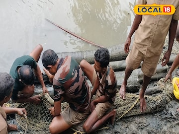 South 24 Parganas News: ২ মাসে ৩ বার! পাথরপ্রতিমায় কেন বারবার আসছে কুমির! চিন্তায় বনদফতর