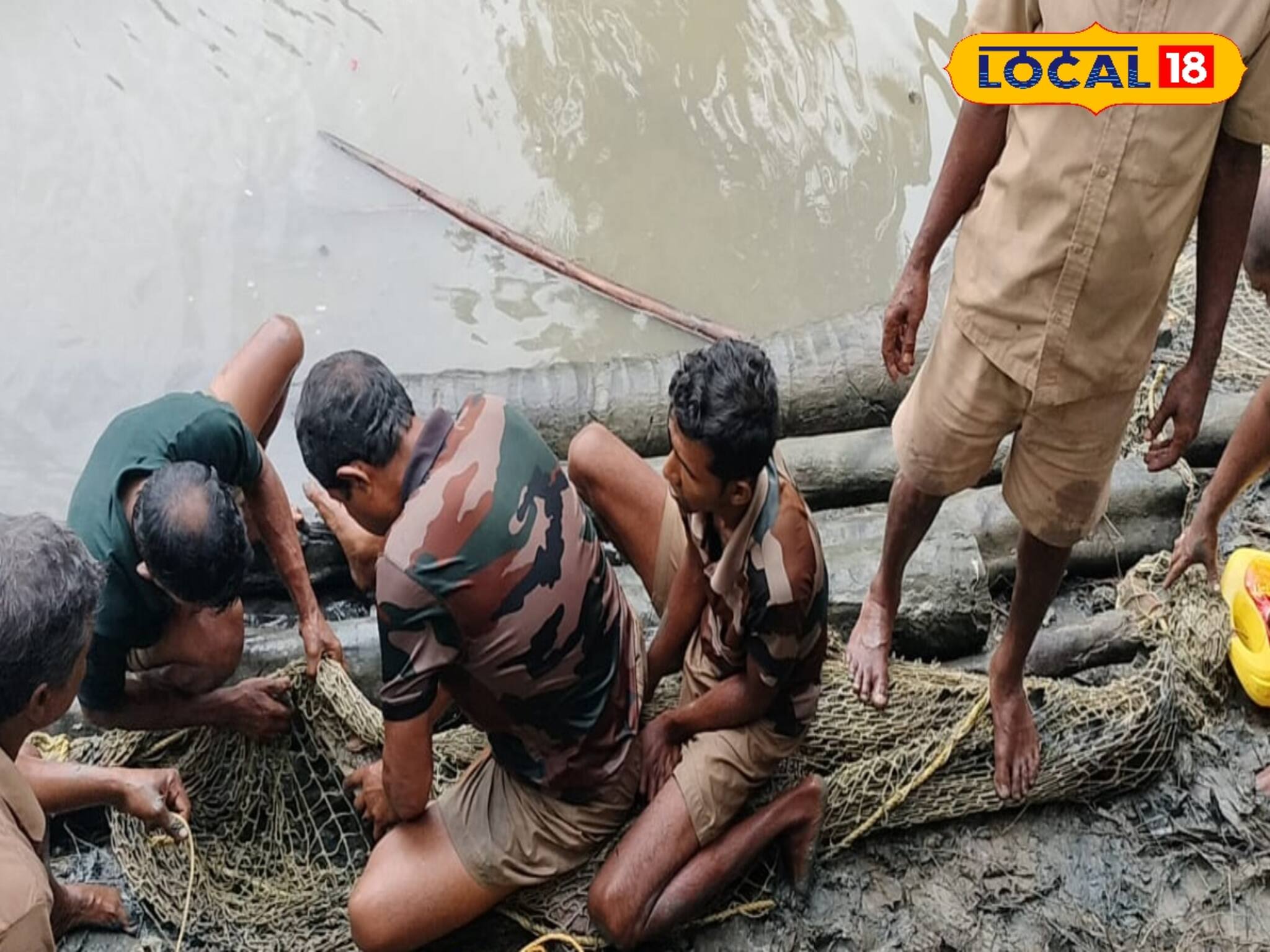  ২ মাসে ৩ বার! পাথরপ্রতিমায় কেন বারবার আসছে কুমির! চিন্তায় বনদফতর