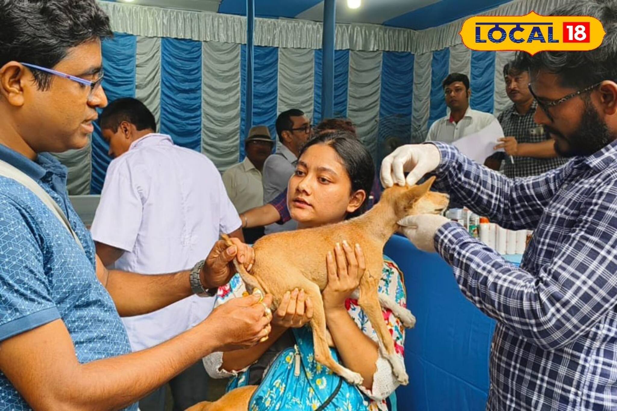 জলাতঙ্কে প্রতিবছর বিশ্বে কত মানুষের প্রাণ যায়? গ্যারান্টি অঙ্কটা শুনলে আঁতকে উঠবেন