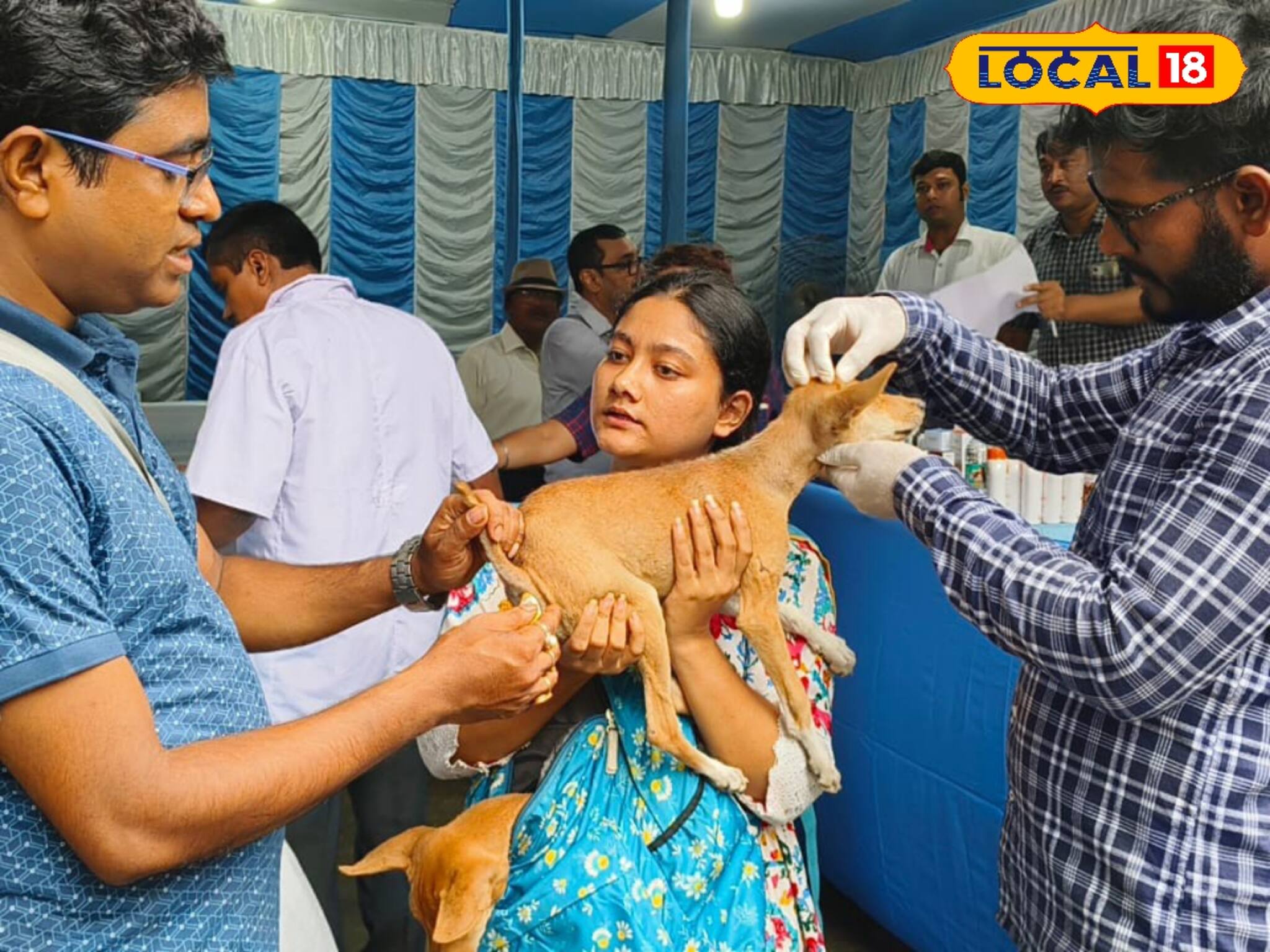 জলাতঙ্কে প্রতিবছর বিশ্বে কত মানুষের প্রাণ যায়? গ্যারান্টি অঙ্কটা শুনলে আঁতকে উঠবেন
