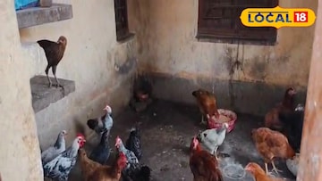 কোয়াটারে