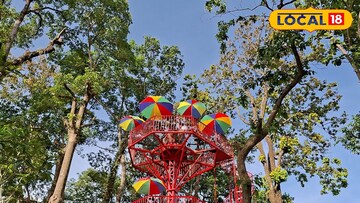 বটগাছের