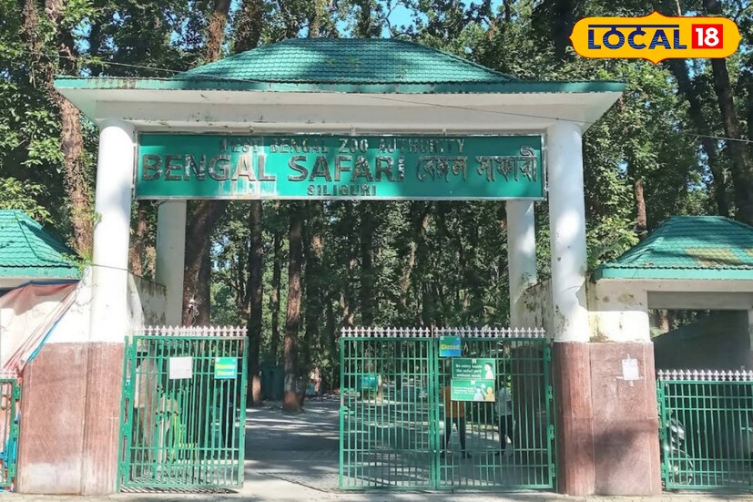 সব প্রাণী ঠিকভাবে পৌঁছে গিয়েছে‌। আলিপুর চিড়িয়াখানার এই প্রাণী এবার শোভা দেবে বেঙ্গল সাফারিতে।