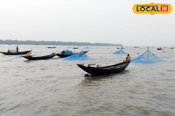 খালি হচ্ছে নদী ভাণ্ডার, যেসব মাছের দেখা মিলছে না সুন্দরবনে