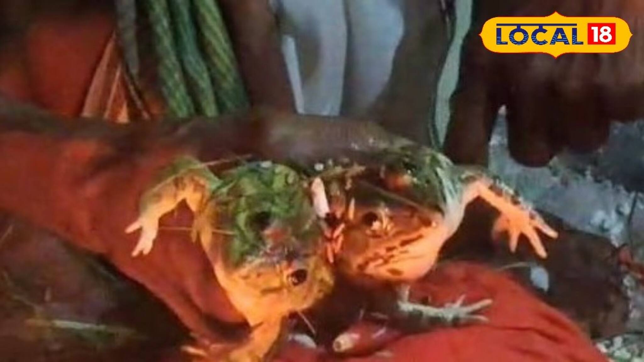 আষাঢ়ের সন্ধ‍েয় ধুমধাম করে বসল বিয়ের আসর! পাত্র-পাত্রী কে?দেখতে ছুটে এল দূর-দূরান্তের লোক