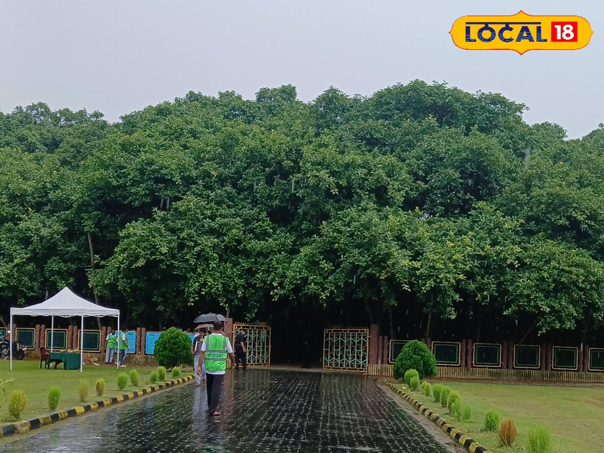 মন খারাপের মাঝেই দারুণ খবর...! মান হারাচ্ছে না বোটানিক্যাল গার্ডেন-এর ঐতিহাসিক বটগাছ
