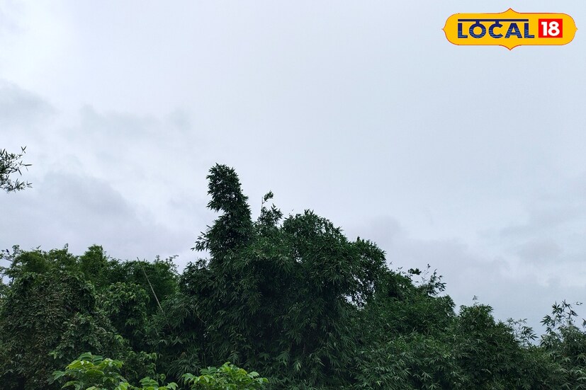 বিগত ২৪ ঘন্টায় মালদহে বৃহস্পতিবার পর্যন্ত ০০৪.০ মিলিমিটার বৃষ্টিপাত হয়েছে। বৃহস্পতিবার সকালে বেশিরভাগ সময় মেঘে ঢাকা ছিল আকাশ। তবে দুপুরের পর থেকে ভারী বৃষ্টিপাত থেকে স্বস্তি মিলবে উত্তরবঙ্গের জেলাগুলিতে।