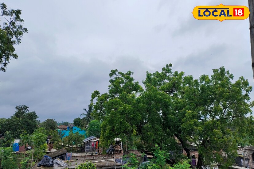আবহাওয়া দফতরের তথ্য অনুযায়ী, উত্তরবঙ্গের তিনটি জেলায় বৃহস্পতিবার সকালে পর্যন্ত ভারী বৃষ্টিপাত থাকবে এরপর দুপুর থেকে সূর্যের আলো ওঠার সম্ভাবনা রয়েছে। তবে সমস্ত জেলাতেই অনেক জায়গায় হালকা থেকে মাঝারি বৃষ্টিপাত হওয়ার সম্ভাবনা রয়েছে।