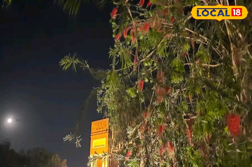 কলকাতার খুব কাছেই রয়েছে রায়চক। ডায়মণ্ড হারবারের ছোট একটি জনপদ এই রায়চক। কলকাতা থেকে দূরত্ব মাত্র ৫৫ কিলোমিটার। এখানকার অন্যতম পরিচিতি হল দুর্গের আদলে তৈরি পাঁচতারা হোটেল।