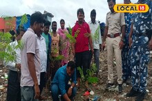 বন দফতরের সঙ্গে সচেতন পঞ্চায়েতও! ম্যানগ্রোভ বাড়ছে কুলতলীতে