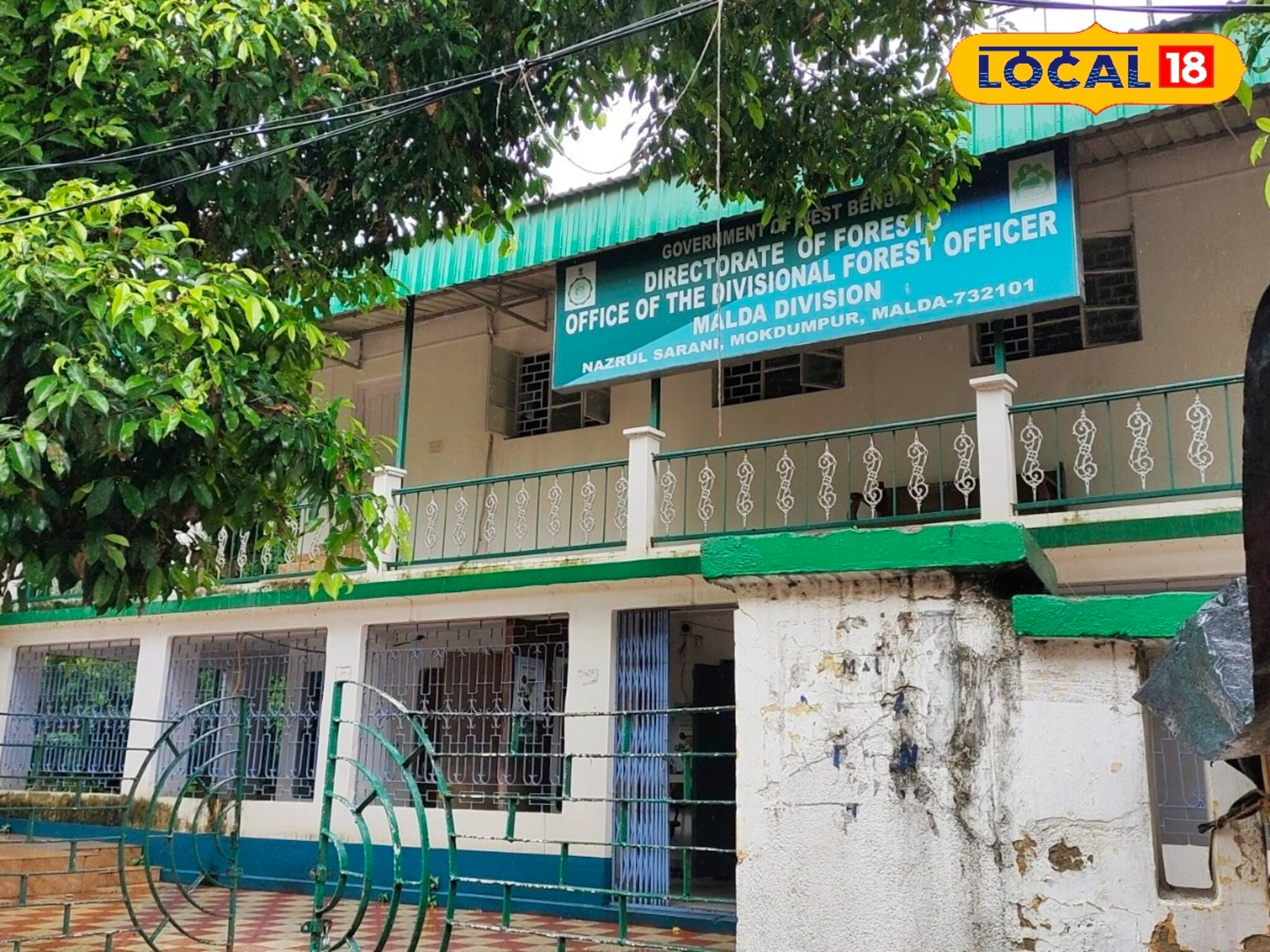 বিশেষ সুযোগ জেলাবাসীদের জন্য! এই জায়গায় গেলেই বিনামূল্যে মিলবে একাধিক গাছের চারা