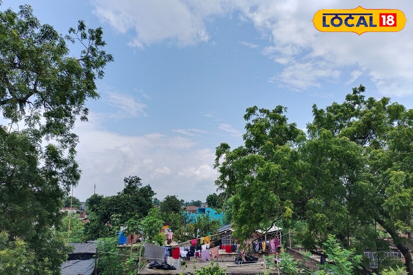 আবহাওয়া দফতরের তথ্য অনুযায়ী, বর্তমানে নিম্নচাপটি পশ্চিমে সরে গিয়ে ঝাড়খন্ড এবং তার পার্শ্ববর্তী অঞ্চলে অবস্থান করছে। যার ফলে দক্ষিণবঙ্গে কমবে বৃষ্টিপাত। তবে গাঙ্গেয় দক্ষিণবঙ্গে মৌসুমী বায়ু সক্রিয় থাকার ফলে দক্ষিণবঙ্গের কিছু কিছু স্থানে বিক্ষিপ্তভাবে ছিঁটে ফোটা হালকা বৃষ্টিপাত অনুভব হবে।