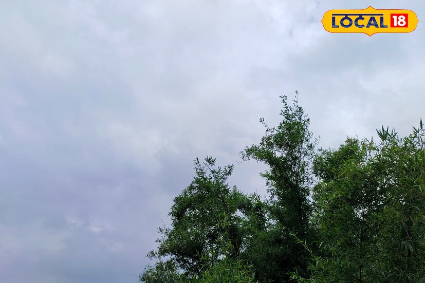 মৌসুমী অক্ষরেখাটি দিঘার ওপর দিয়ে উত্তর-পূর্ব বঙ্গোপসাগর পর্যন্ত বিস্তৃত হয়ে আছে। যার ফলে দক্ষিণবঙ্গের সব জেলাতেই হালকা ছিটে ফোঁটা বৃষ্টিপাত থাকবে।