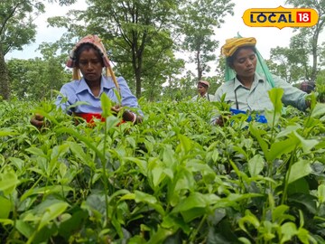 গর্ভবতী