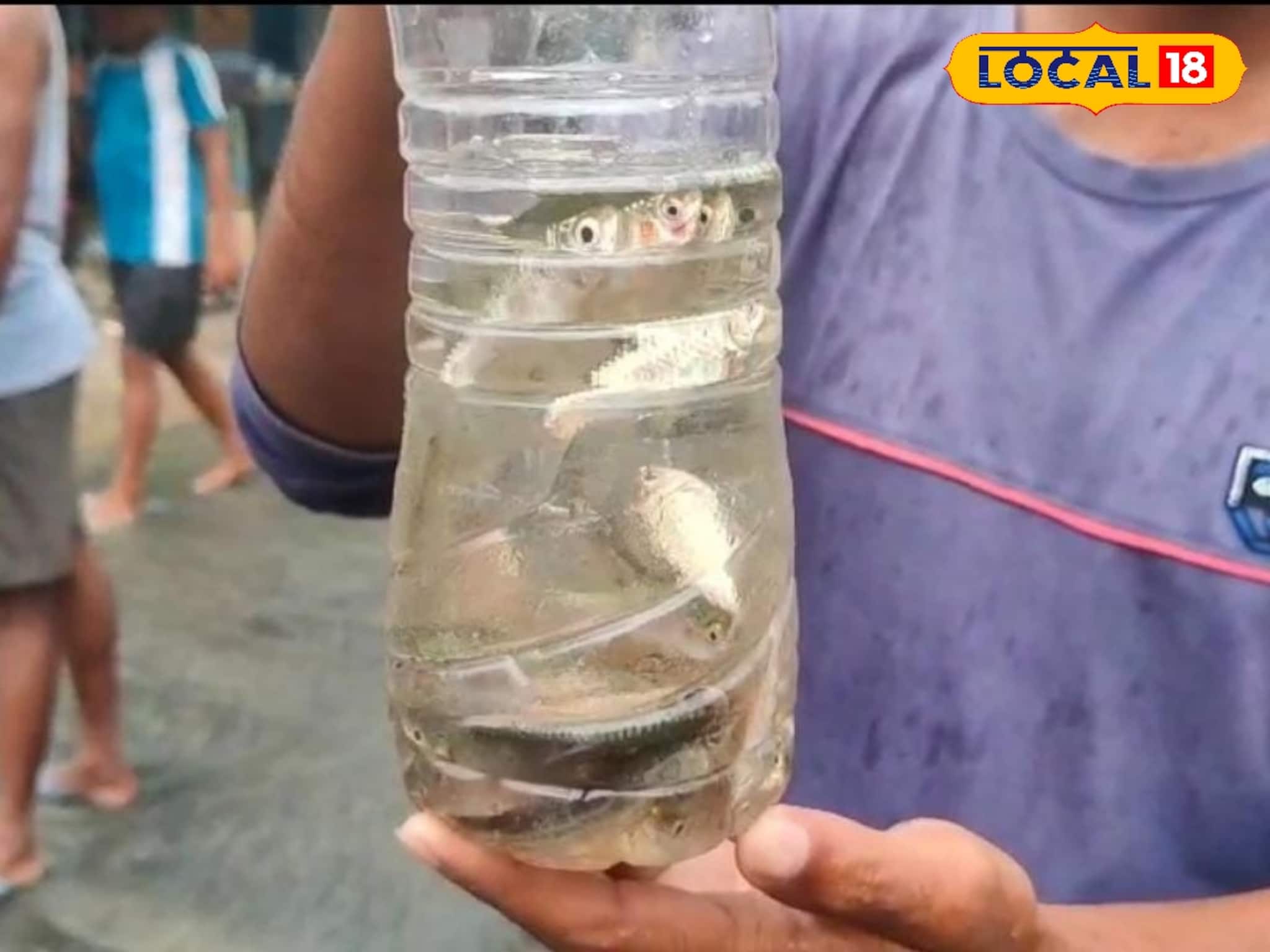 বীরভূমে হুলুস্থুল কাণ্ড...! রাস্তার উপর কিলবিল করছে মাছ, জাল নিয়ে ছুটে এসেছেন মানুষজন