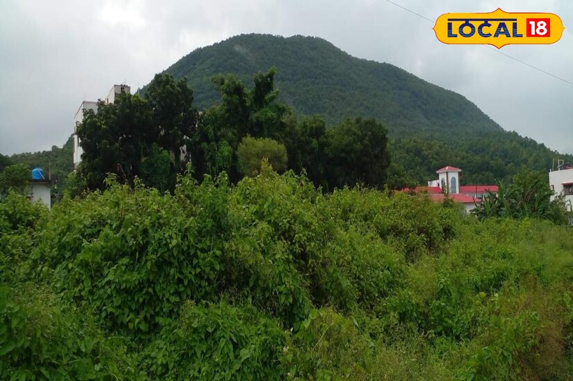 বিহারীনাথ পাহাড় ট্রেকারদের জন্য যথেষ্ট আকর্ষণীয় জায়গা। অনেকেই এখান থেকে রক ক্লাইম্বার হিসাবে আপনার যাত্রা শুরু করতে পারেন। স্থানীয় রিসর্ট এর মালিক অনুপম সেন বলেন,