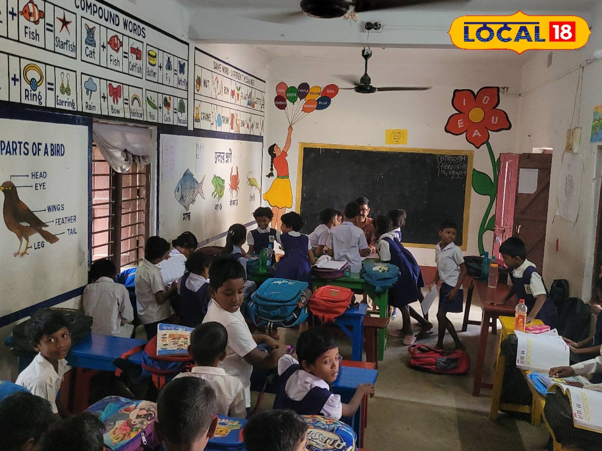 স্কুল তো নয়, যেন...! দেওয়াল জুড়ে...! লাফিয়ে লাফিয়ে বাড়ছে পড়ুয়া