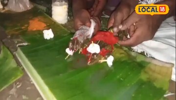 ব্যাঙের