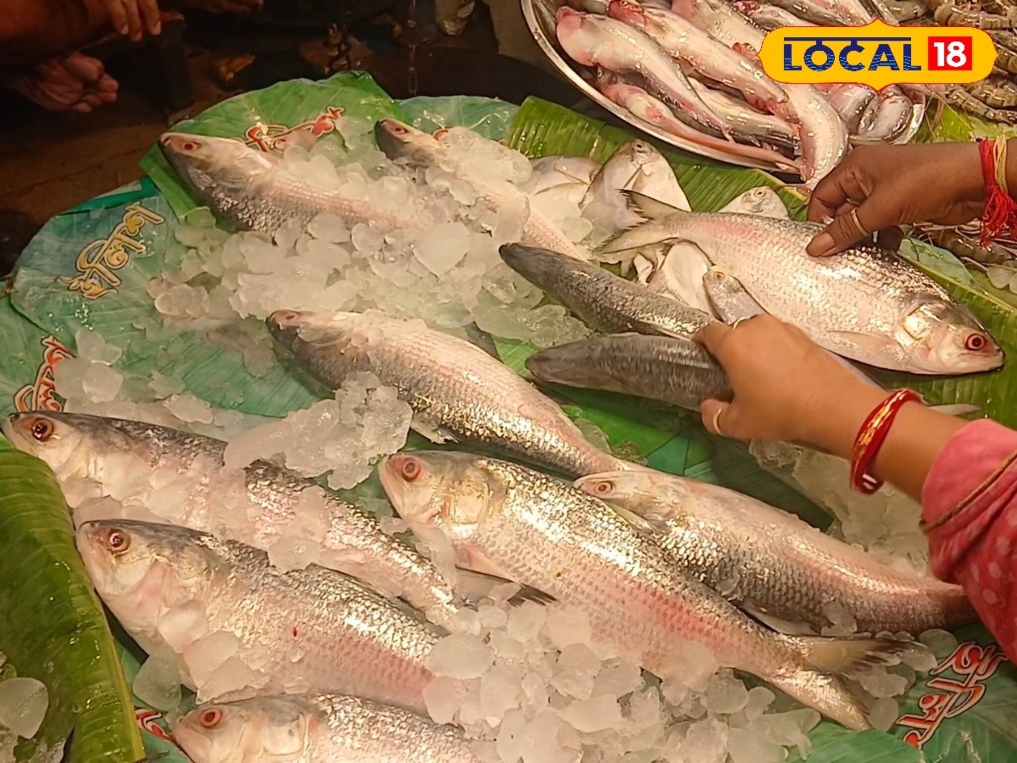 রূপনারায়ণের ইলিশ কিনতে গিয়ে ঠকছেন? কীভাবে চিনবেন নদীর মাছ, যে তথ্য জানতেই হবে