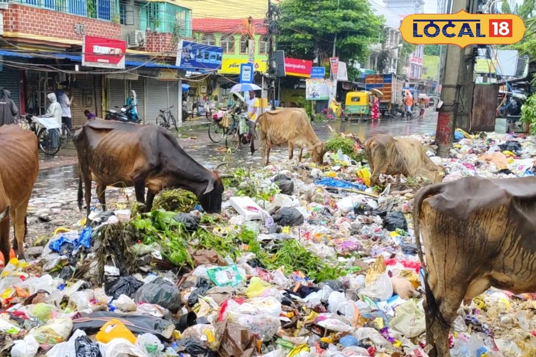 ইলেকট্রিক ট্রান্সফর্মারের ওপরেই ভ্যাট ও অস্থায়ী শৌচালয়! পানিহাটিতে বিপজ্জনক চিত্র