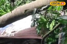 সব যেন গিলে খাচ্ছে...! তীব্র ঝড়ের তাণ্ডবে এক রাতেই সব লণ্ডভণ্ড, ভয়ানক খারাপ অবস্থা