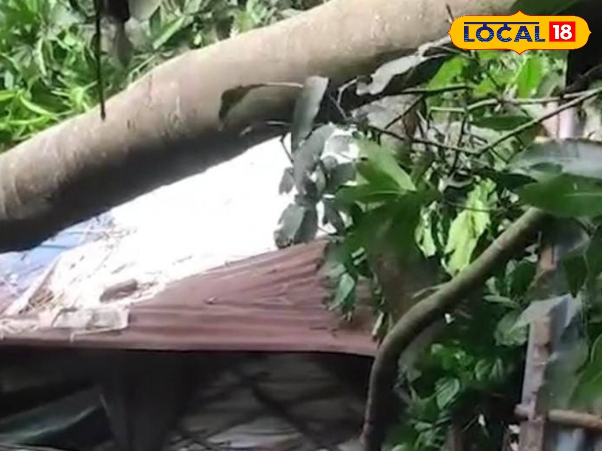 সব যেন গিলে খাচ্ছে...! তীব্র ঝড়ের তাণ্ডবে এক রাতেই সব লণ্ডভণ্ড, ভয়ানক খারাপ অবস্থা