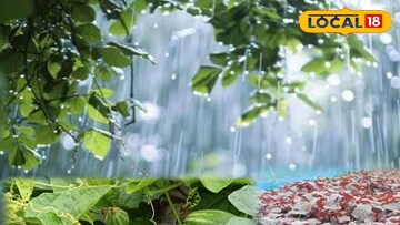 বৃষ্টিতে