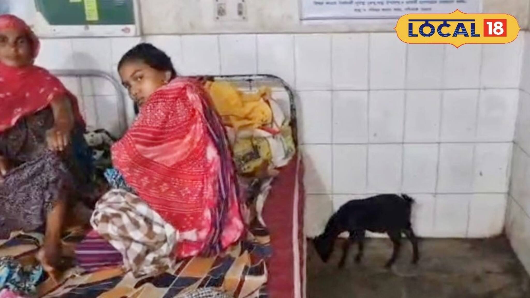 শুধু রোগী নয়, পরিষেবা ভোগ কুকুর, ছাগলেরও! মালদহের এই সরকারি হাসপাতালের বেহাল দশা