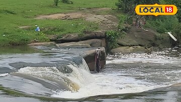 প্রকৃতির