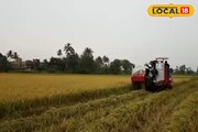 পূর্ব বর্ধমানের কৃষকদের হাতে সাফল্যের চাবি, সুগন্ধি ধানের ফলনে নতুন রেকর্ড