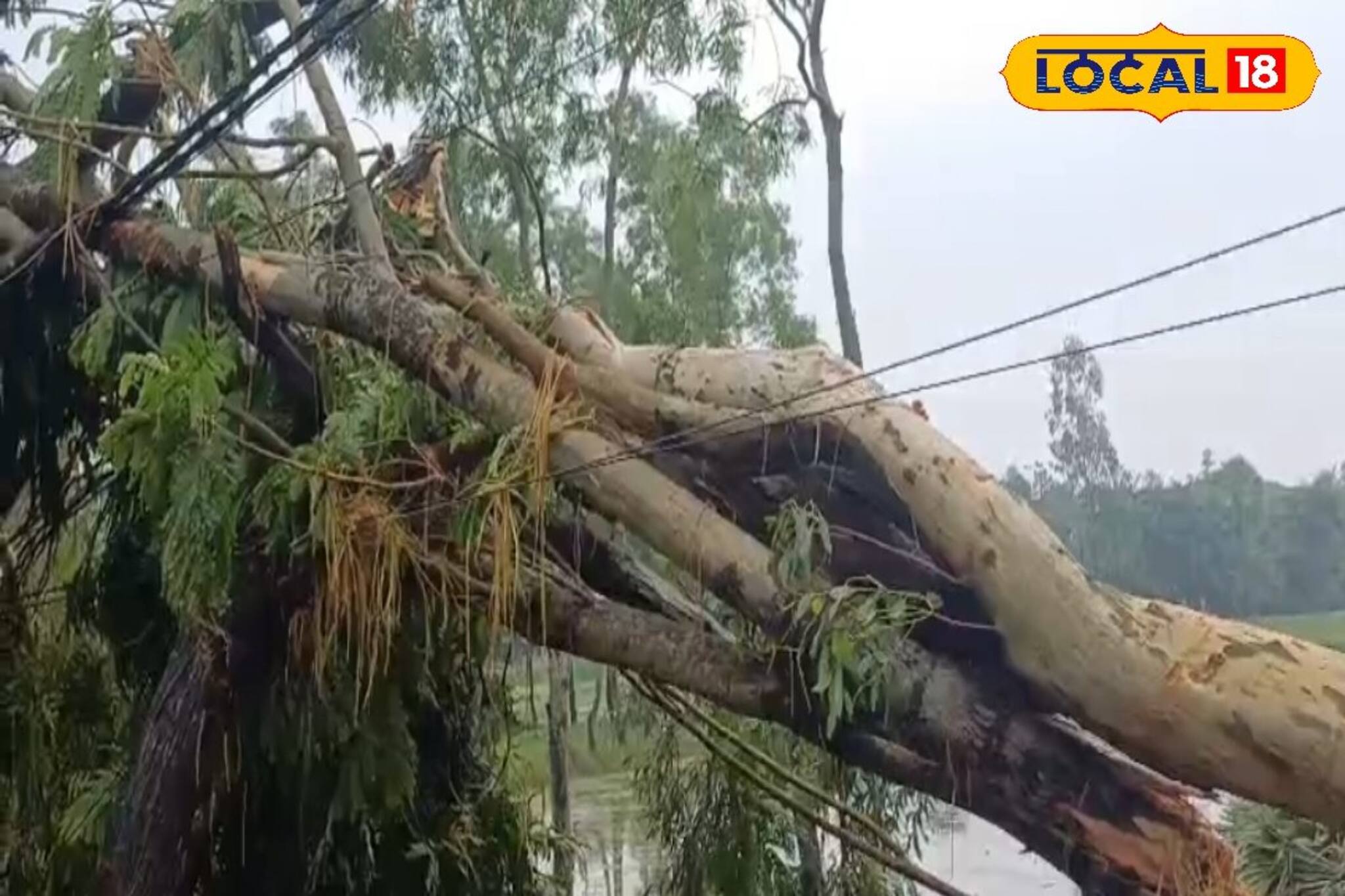 হঠাৎ আসা ঘূর্ণিঝড়ে বিপর্যস্ত রায়দিঘি! তছনছ গোটা গ্রাম