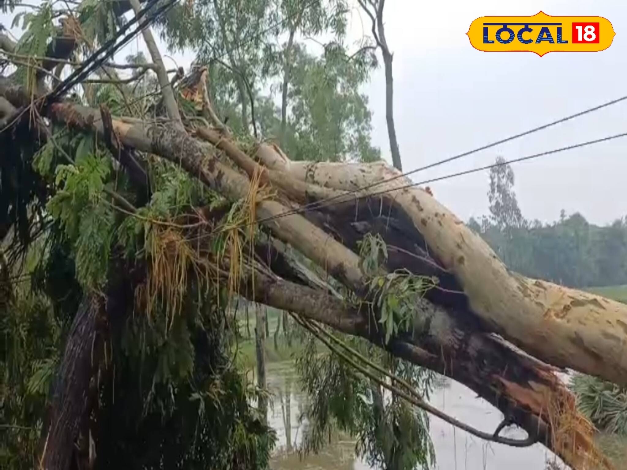 হঠাৎ আসা ঘূর্ণিঝড়ে বিপর্যস্ত রায়দিঘি! তছনছ গোটা গ্রাম