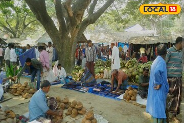নামমাত্র জায়গা, পুকুর থাকলেই কেল্লাফতে...! টাকা আসবে গোছা গোছা, রোজগারের নতুন দিশা