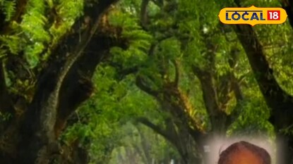 যশোর রোডে গাছের ডাল মাথায় পড়ে মৃত্যু বৃদ্ধার