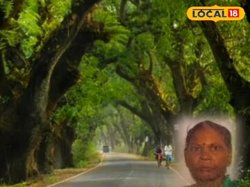North 24 Parganas News: আচমকা বৃদ্ধার মাথায় আস্ত গাছের ডাল…! লুটিয়ে পড়লেন চোখের সামনে, তারপর যা ঘটল…