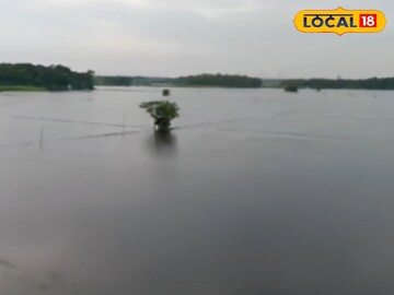 জলমগ্ন