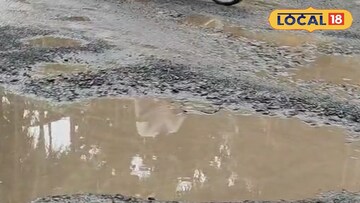 শ্যামনগরের