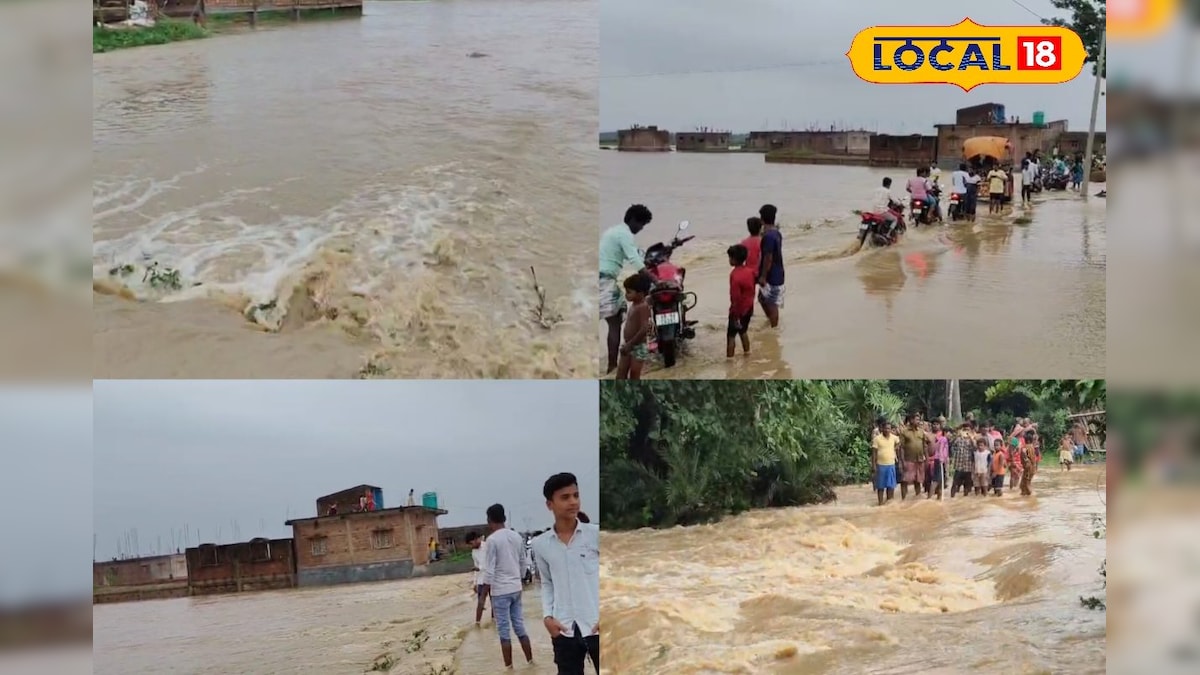 Murshidabad News: ঝাড়খন্ডের প্রবল বৃষ্টিতে জলমগ্ন জঙ্গিপুর মহকুমার একাংশ! বিচ্ছিন্ন বিভিন্ন গ্রাম